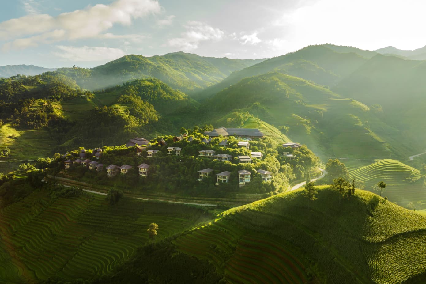Garrya Mu Cang Chai